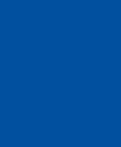 Gundam Marker GM06 Felt Tip Blue