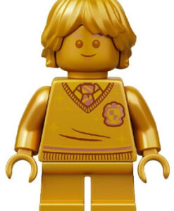 76388 LEGO Harry Potter Hogsmeade Village Visit