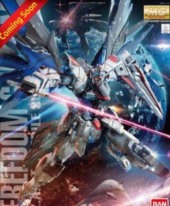 Master Grade Freedom Gundam