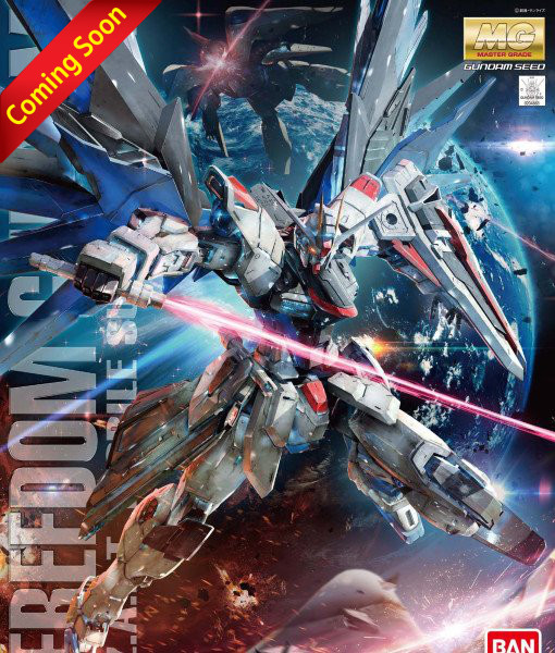 Master Grade Freedom Gundam