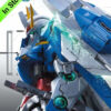 Perfect Grade 00 Raiser