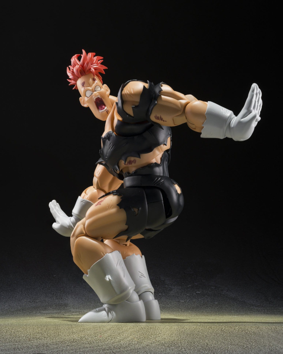 Dragon Ball Z Recoome S.H.Figuarts Action Figure