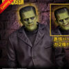 Frankenstein Plastic Model Kit